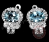 Bông tai đá Topaz thiên nhiên - MS: BTOER012