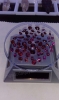Đá Garnet Rhodolite thiên nhiên có giám định